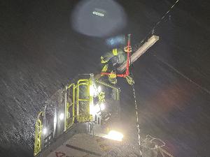 Bild: Umgestürzter Baum in der Kossmannstraße