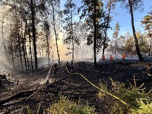 Bild: Feuerwehr Eppelborn unterstützte bei großem Waldbrand bei Ottweiler