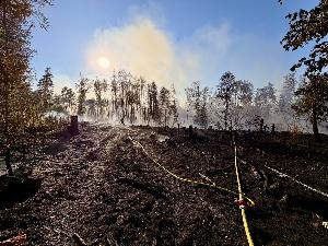 Bild: Feuerwehr Eppelborn unterstützte bei großem Waldbrand bei Ottweiler