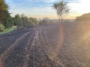 Bild: Großer Flächenbrand bei Lautenbach