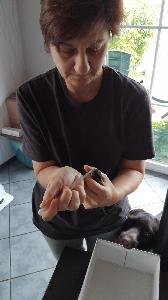 Bild: Feuerwehr befreit Tier aus Notlage