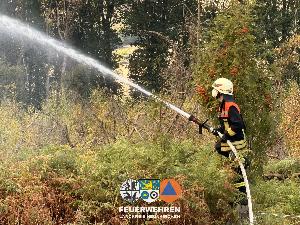 Bild: Waldbrand im Hosterwald: 78 Stunden gemeinsam gegen die Flammen