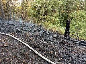 Bild: Feuerwehr Eppelborn unterstützte bei großem Waldbrand bei Ottweiler
