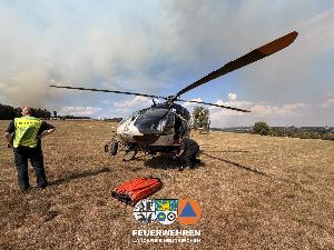 Bild: Waldbrand im Hosterwald: 78 Stunden gemeinsam gegen die Flammen
