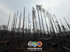 Bild: Waldbrand im Hosterwald: 78 Stunden gemeinsam gegen die Flammen