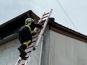 Bild: Feuerwehr befreit Tier aus Notlage