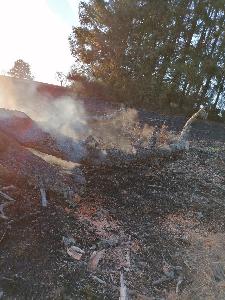 Bild: Großer Flächenbrand bei Lautenbach