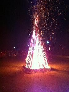 Bild: (Foto: LBZ Habach)