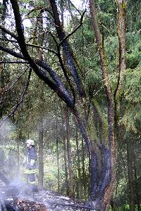 Bild: Das Feuer hatte bereits auf den angrenzenden Baumbestand übergegriffen