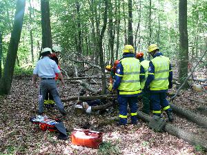 Bild: Gemeinsame Großübung von Feuerwehr, THW und DRK in Sotzweiler (Foto: Dirk Schäfer)