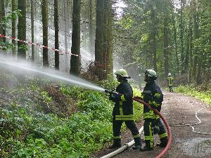 Bild: Gemeinsame Großübung von Feuerwehr, THW und DRK in Sotzweiler (Foto: Dirk Schäfer)