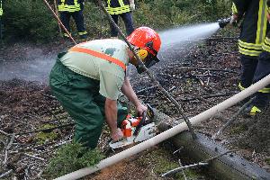 Bild: Der verkohlte Teil eines Baumstammes wurde abgetrennt und zum Weg gebracht, um ein erneutes Aufflammen zu verhindern