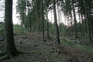 Bild: Die abgelegene Einsatzstelle in der Nähe der Wassertretanlage