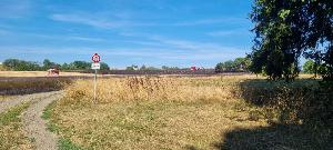 Bild: Großer Flächenbrand bei Lautenbach