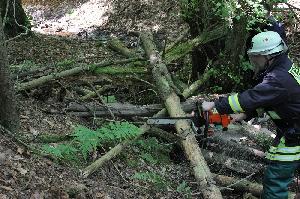 Bild: Einsatz der Motorkettensäge