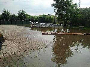 Bild: Hochwassersituation in Magdeburg