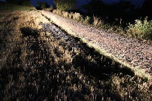 Bild: Auf rund 20 Metern Länge war das Stoppelfeld verbrannt