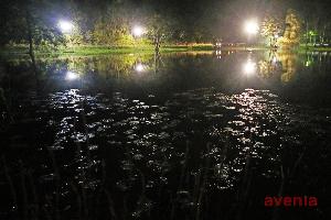 Bild: (Foto: Simon Mario Avenia)