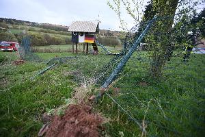 Bild: (Foto: Simon Mario Avenia)