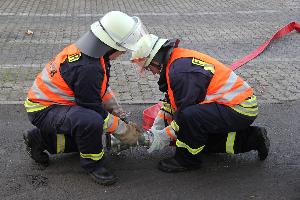 Bild: Aufbau der Löschwasserversorgung
