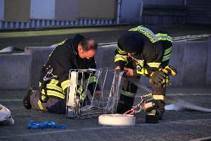 Bild: Impressionen von der landkreisübergreifenden Übung in Eppelborn