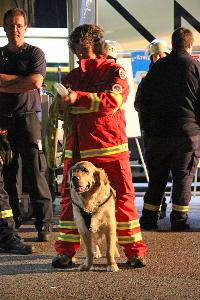 Bild: Impressionen von der landkreisübergreifenden Übung in Eppelborn