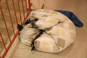 Bild: Brandspuren an der Bettdecke