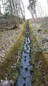 Bild: Kontrolle der Regenabläufe neben der Autobahn