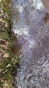 Bild: Dieselkraftstoff auf dem Klingelfloss