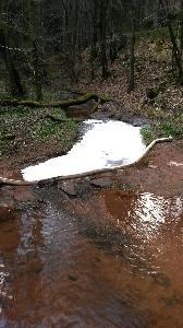 Bild: Aufbringen von Bindemitteln