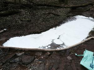 Bild: Aufbringen von Bindemitteln