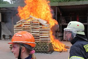 Bild: Holzhaus im Vollbrand