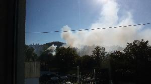 Bild: (Foto: Privat)