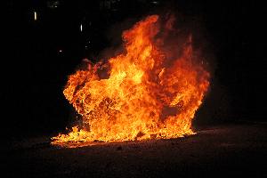 Bild: Das Fahrzeug stand im Bereich des Motorraums im Vollbrand (Foto: PSS)