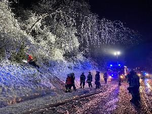 Bild: Zahlreiche Bäume mussten von der Feuerwehr beseitigt werden