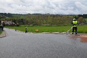 Bild: (Foto: Thomas Keller - Feuerwehr Illingen)