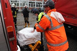 Bild: (Foto: Frank Bredel)