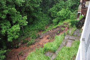 Bild: (Foto: Frank Bredel)