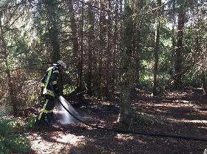Bild: Mit der Schnellangriffseinrichtung des TLF 20/30 wurden die vorhandenen Glutnester abgelöscht.