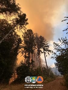 Bild: Waldbrand im Hosterwald: 78 Stunden gemeinsam gegen die Flammen
