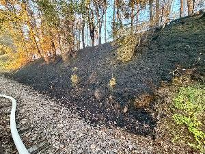 Bild: Feuerwehr Eppelborn unterstützte bei großem Waldbrand bei Ottweiler