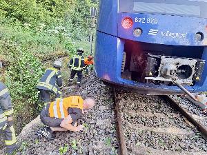 Bild: Umgestürzte Bäume auf der Bahnstrecke zwischen Bubach-Calmesweiler und Eppelborn