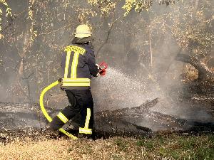 Bild: Vegetationsbrand zwischen Dirmingen und Berschweiler