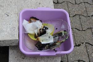 Bild: Kleine Ursache - große Wirkung: Reste der Plastikschüsseln wurden von der Feuerwehr ins Freie gebracht