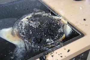 Bild: Es entstand glücklicher Weise nur geringer Sachschaden