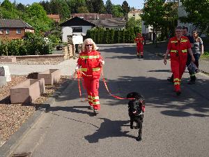 Bild: (Foto: Michael Schorr)