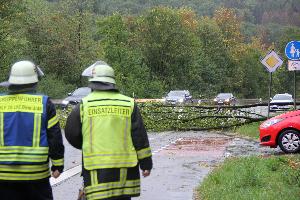 Bild: Ein umgestürzter Baum ragte bis zur Hälft in die L112