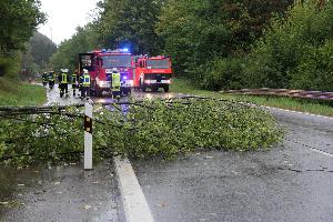 Bild: Ein umgestürzter Baum ragte bis zur Hälft in die L112
