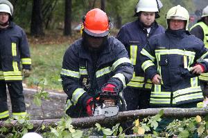 Bild: Zerkleinern des Baums mit der Kettensäge