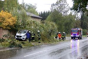 Bild: In der Bolzenbergstraße begrub ein größerer Baum zwei geparkte Fahrzeuge